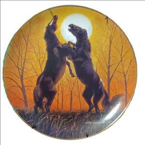 Stallions at sunrise